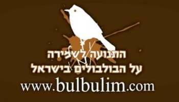 ואת? יכולה להסתדר בלי בולבול?
