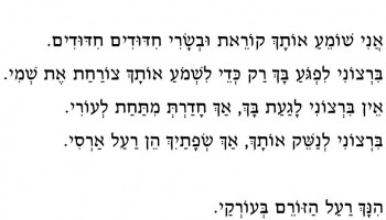 אני נגד המוזיקה: העמוד שיתרגם לכם את היום