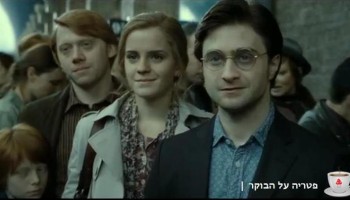 פטריה על הבוקר: שמונה סרטי הארי פוטר ב-13 דקות