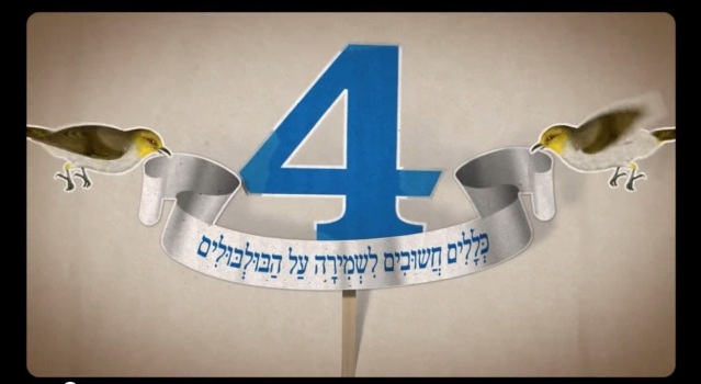 ארבעה כללים חשובים לשמירה על הבולבולים