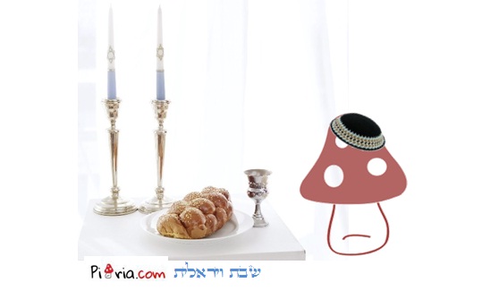 סופ"ש ויראלי: הסרטונים שיבזבזו לכם את השבת