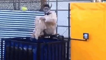 גאוני: זה מה קורה כשלובשים חליפת מנטוס וקופצים לבריכה של דיאט קולה