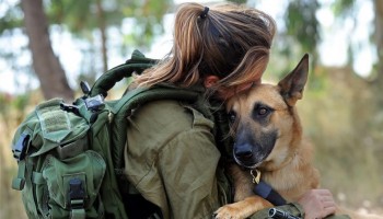 מחמם את הלב: 45 תמונות מדהימות של חיילי צה"ל ברגעים אנושיים מרגשים