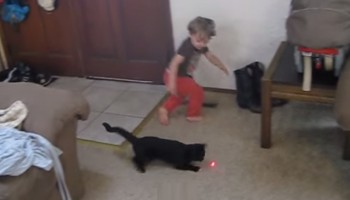 סמן הלייזר הזה מוכיח שילדים וחתולים הם בעצם אותו הדבר (וידאו)