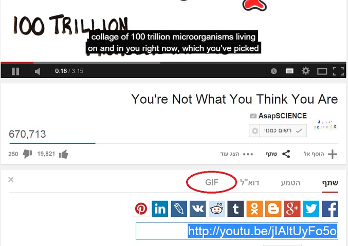 יוטיוב גיף1