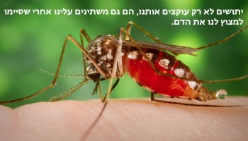 25 עובדות מפתיעות שלא ברור איך חייתם בלי להכיר אותן