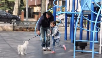 הבחור הזה ניגש לילדים בגן המשחקים עם גור כלבים. מה שקרה אחר כך פשוט מצמרר