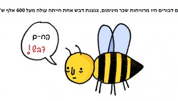 25 עובדות מצחיקות שכנראה לא ידעתם על בעלי חיים