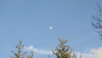 הזום המטורף של המצלמה הזאת מאפשר לראות את הירח זז