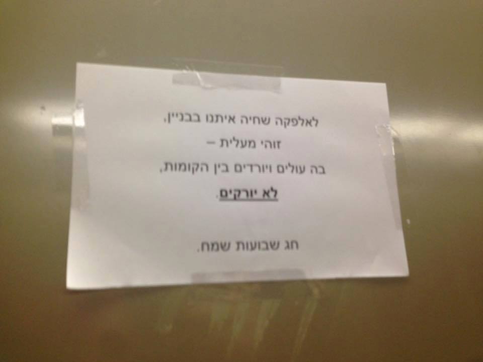 Ido Levin - פולניה זה כאן