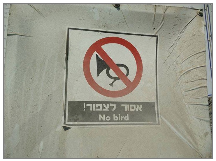 בינתיים בנמל אשדוד