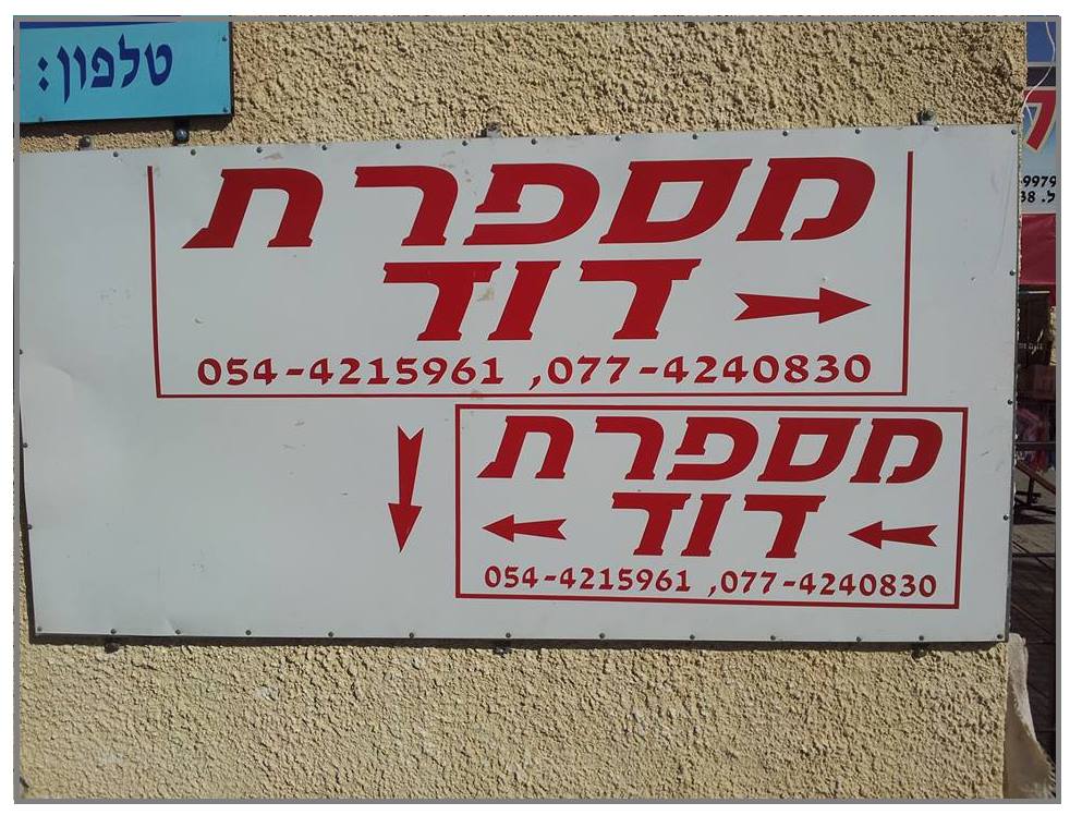 זיו אידל - בינתיים בערד