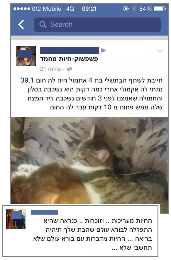 Moriel Shapira - שמיאו ישראל