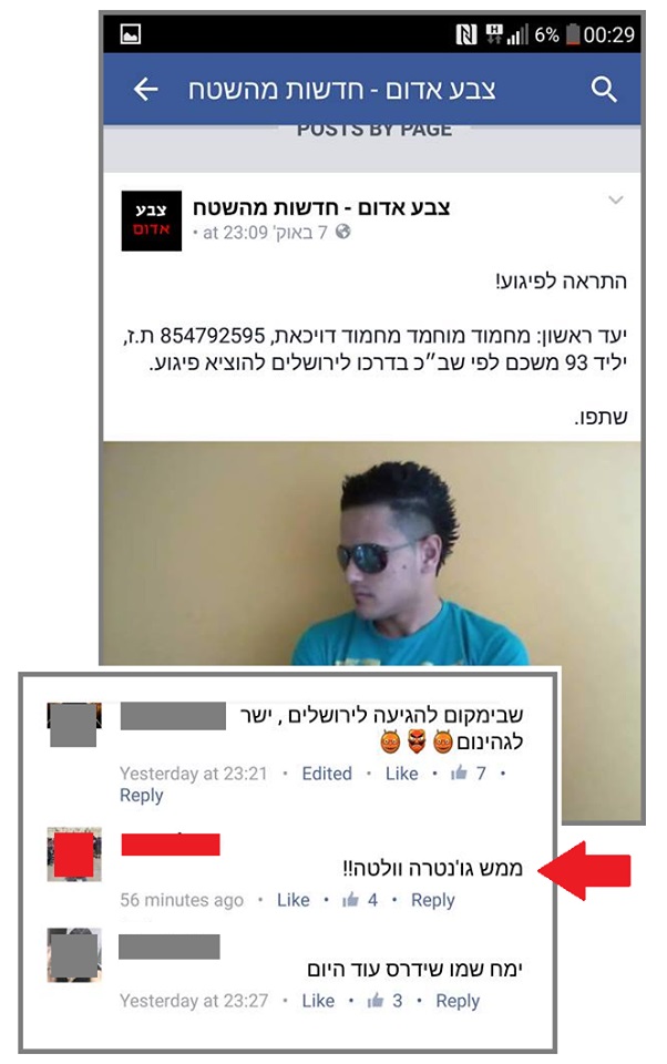 tamar zaguri - ממש