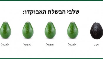 31 גרפים ותרשימים שמציגים עובדות מרגיזות ומצחיקות מחיי היומיום
