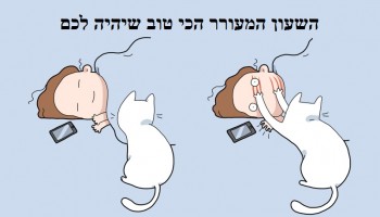 10 דברים מצחיקים שחתול יכניס לכם לחיים