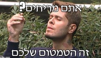 שי חי מהאח הגדול אומר את האמת בפרצוף בסדרת תמונות מצחיקה