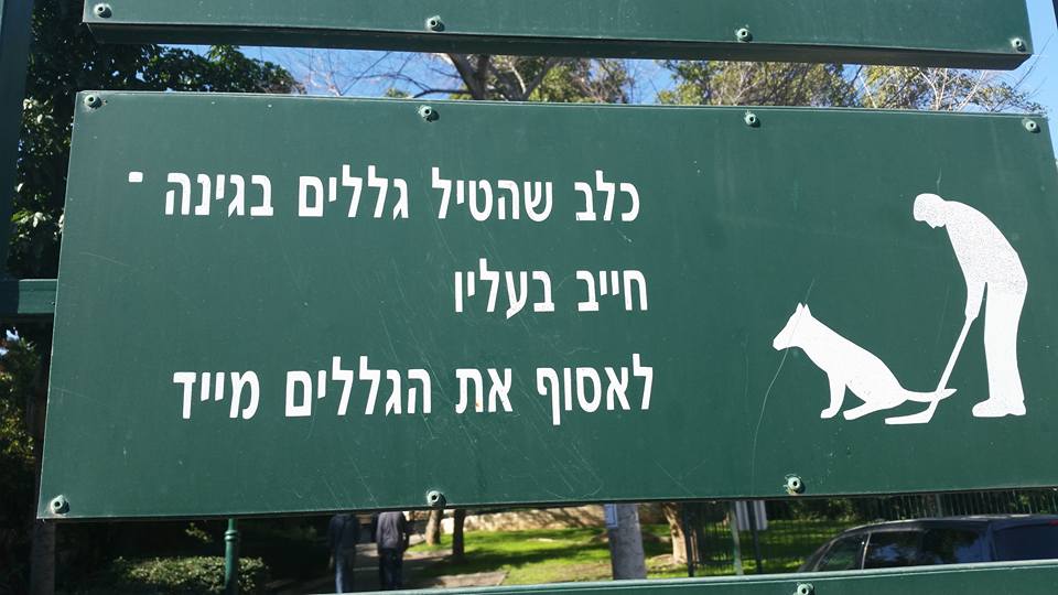 כלב שהטיל גללים בגינה חייב בעליו לשחק גולף - Evyatar Ben Halevi-Arbib