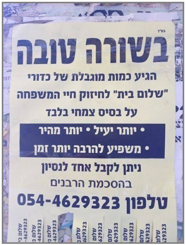 לינוי לוסקי - כדורי שלום בית