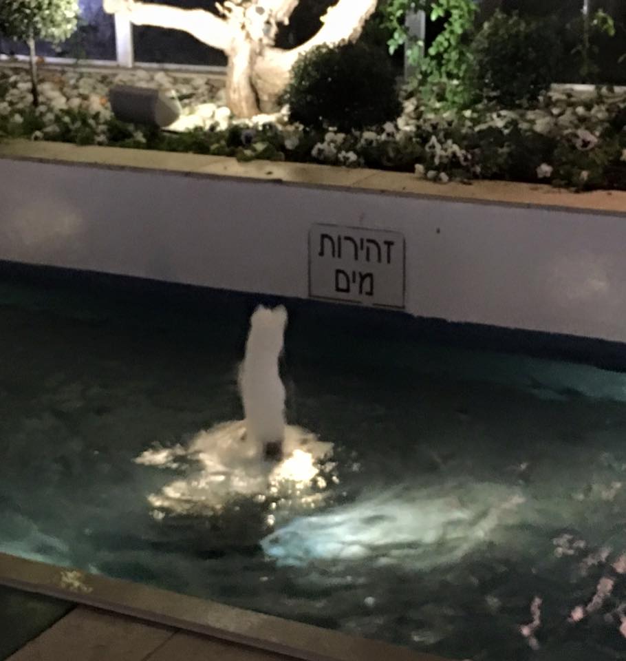 Ido Farhi‎ - מיותר משו