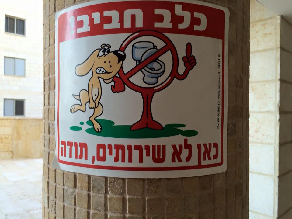 Orly Cohen - אצלנו בעיר חושבים שהכלבים יודעים לקרוא