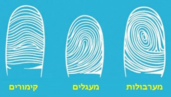 מה אומרת טביעת האצבע על האישיות שלכם?