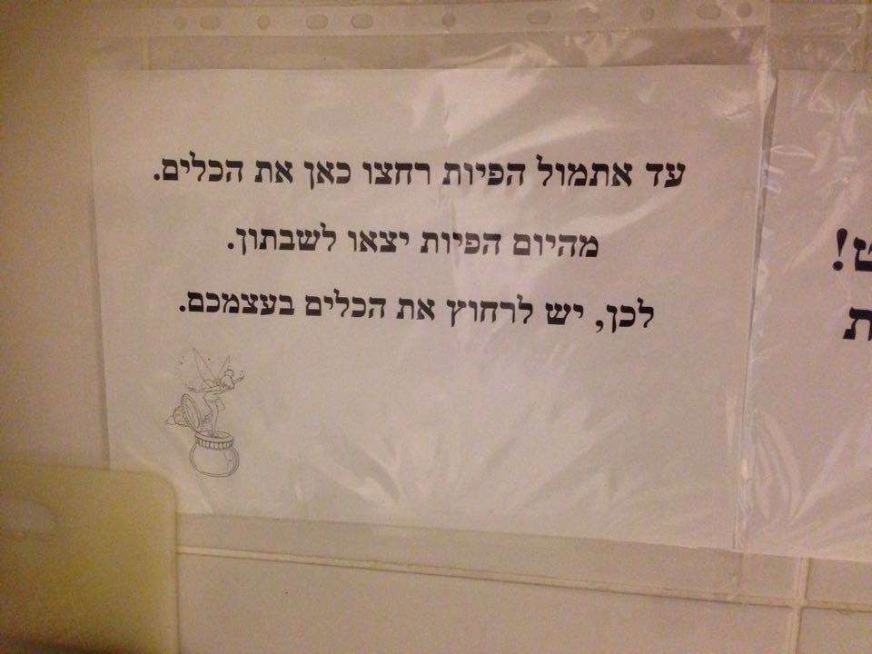 Danielle Hayun - פולניה זה כאן