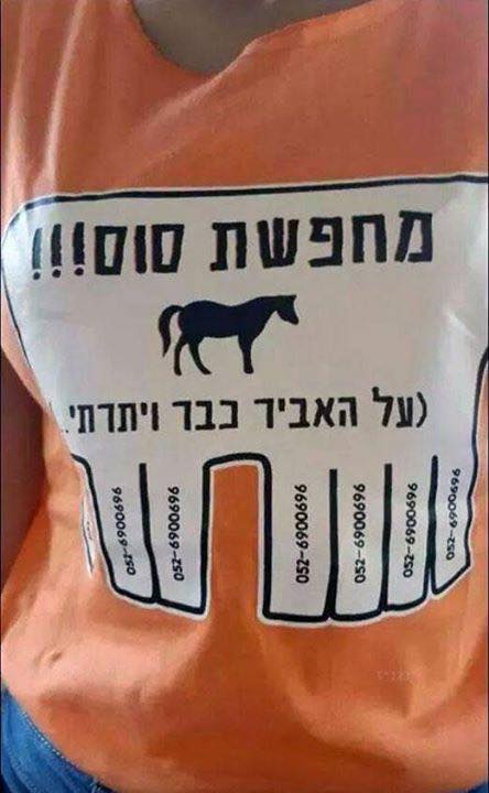 Ivgeni Zarubinski - מבינה עניין