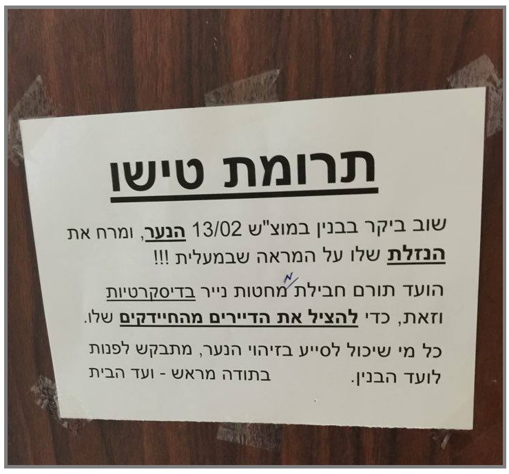 Muli Holtzman - כשאבא ואמא בני דודים