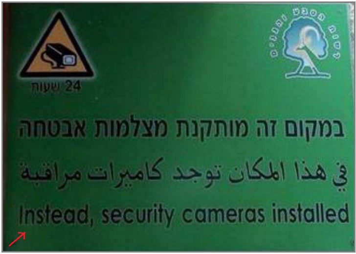 Shay Mahluf - כשאבא ואמא בני דודים