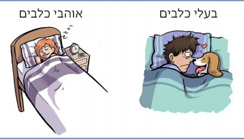 7 הבדלים בין אנשים שאוהבים כלבים לאנשים שמגדלים כלבים בסדרת איורים מצחיקה