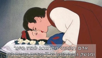 32 משפטים מצחיקים שמסכמים בצורה מושלמת סרטים מפורסמים שכולנו מכירים
