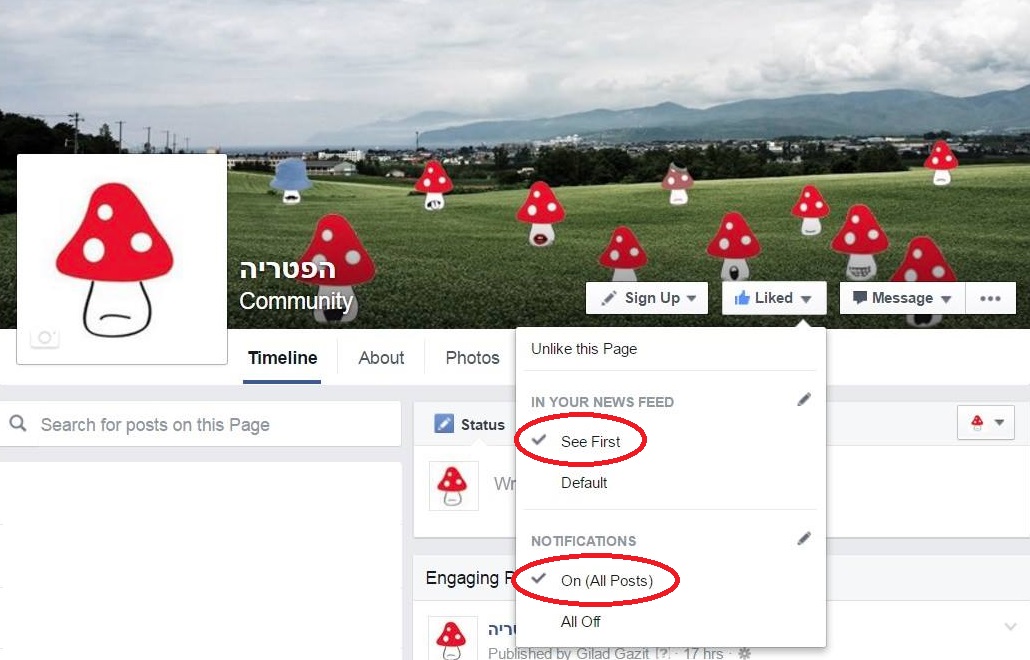 הגדרות פייסבוק 20