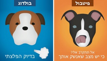 12 איורים מצחיקים שלועגים לסטיגמות על גזעים שונים של כלבים