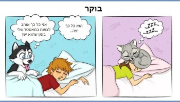 14 איורים מצחיקים שמציגים בצורה מושלמת את ההבדלים בין חתולים לכלבים