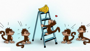 הניסוי הזה מדגים בצורה מושלמת איך החברה שלנו עובדת