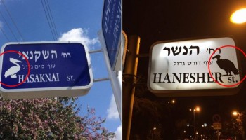 הבחורה המסתורית הזאת מוסיפה צלליות של ציפורים לשלטי רחובות עם שמות תואמים
