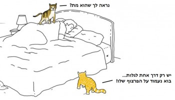 זה מה שבעלי חיים היו אומרים אם הם יכלו לדבר בסדרת איורים מצחיקה