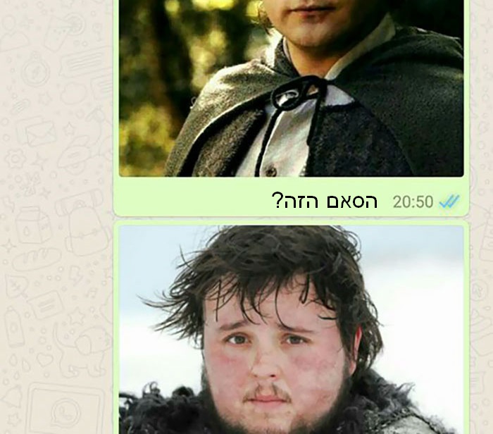 וואטסאפ הריון 3