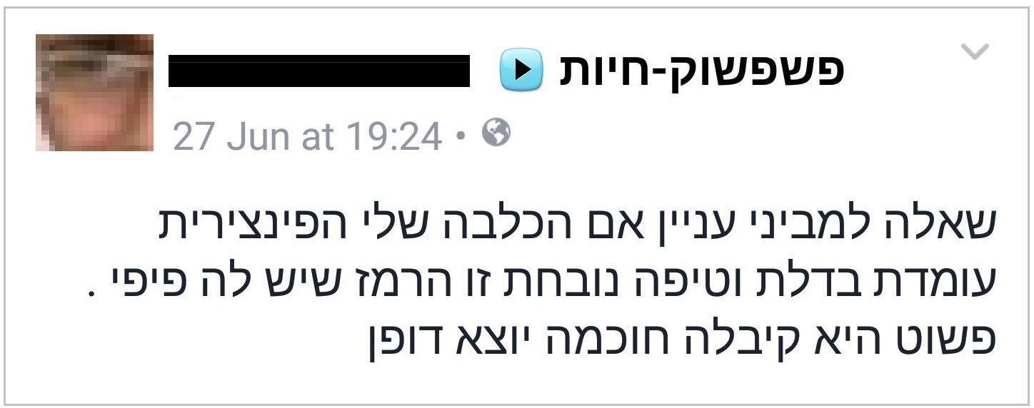 נפלאות התבונה