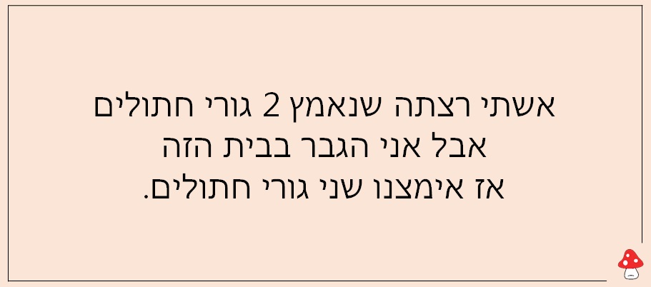 נשים וזוגיות 4