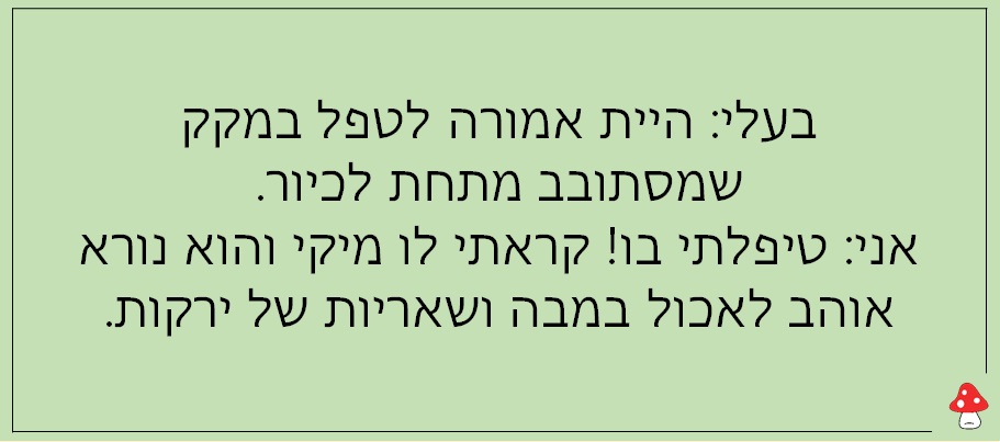נשים וזוגיות 6