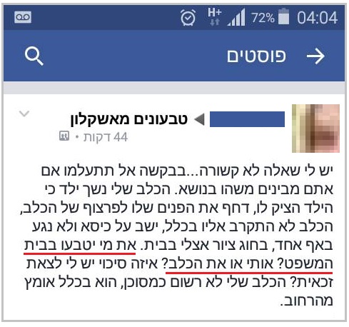 Eli Amar - שאלה לא קשורה