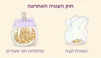 16 חוקים מטופשים שכולנו מכירים בסדרת איורים מצחיקה
