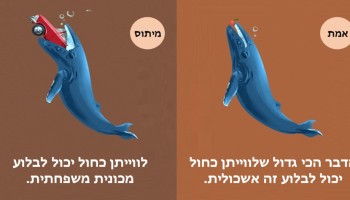 12 מיתוסים על בעלי חיים שחשבתם שהם נכונים אבל הם לגמרי לא
