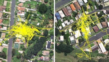 הבחור הזה חיבר GPS לחתול שלו כדי לבדוק מה הוא עושה בלילות וזה מה שהוא גילה