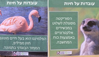 הבחור הזה החליף את השלטים בגן החיות בעובדות שקריות ומצחיקות על בעלי החיים