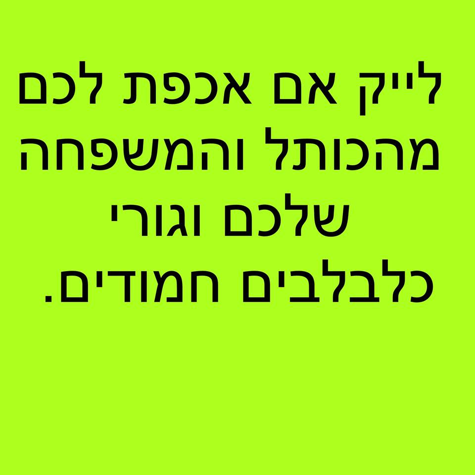 תייגו 15