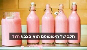 21 עובדות מצחיקות ומפתיעות שכנראה לא הכרתם עד היום והן לגמרי אמיתיות