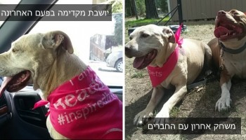 הבחורה הזאת תיעדה את היום האחרון בחייה של הכלבה שלה בסדרת תמונות מרגשת
